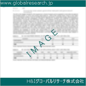グローバルリサーチ調査資料のイメージ